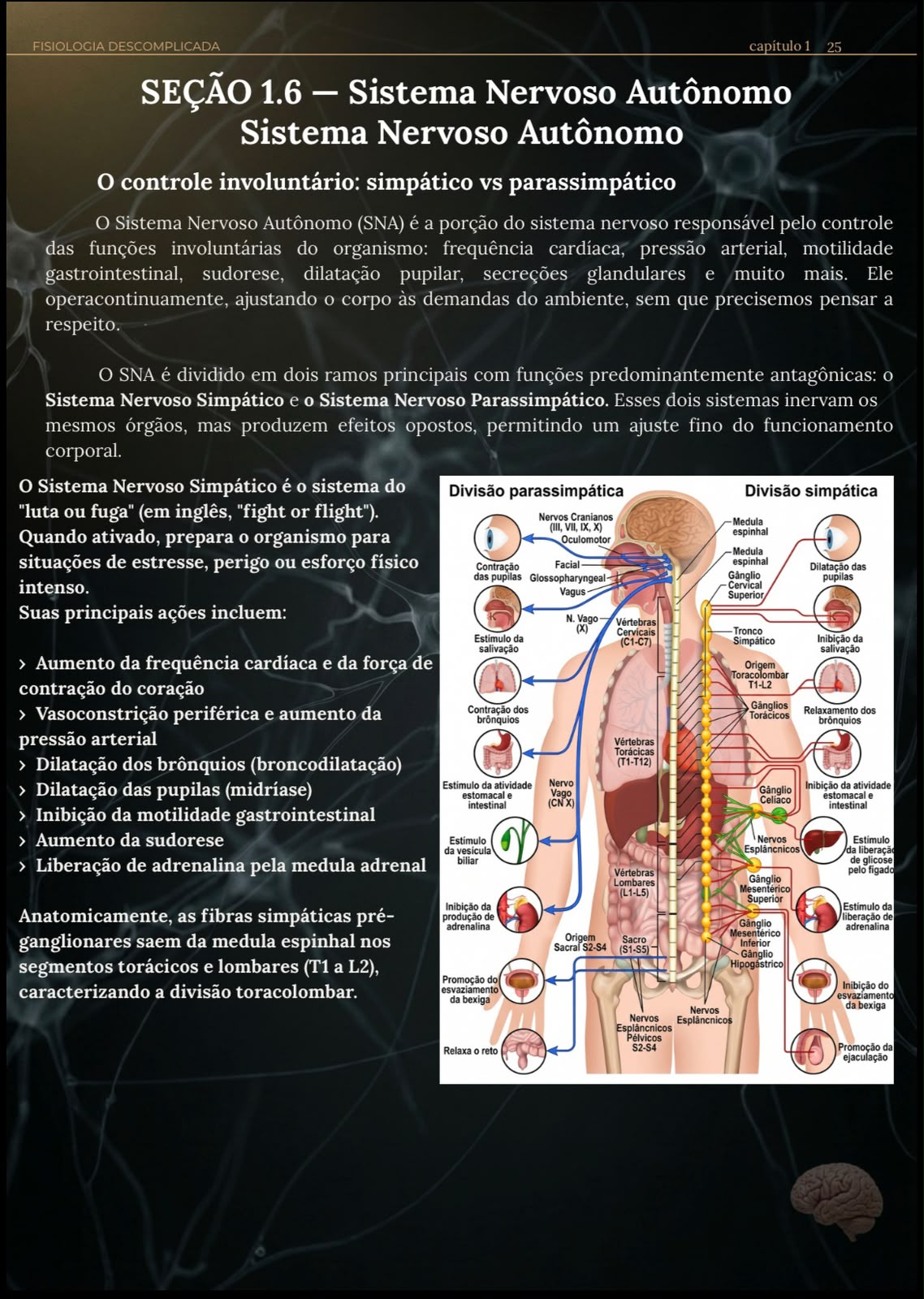 Sistema Nervoso Autônomo — diagrama completo