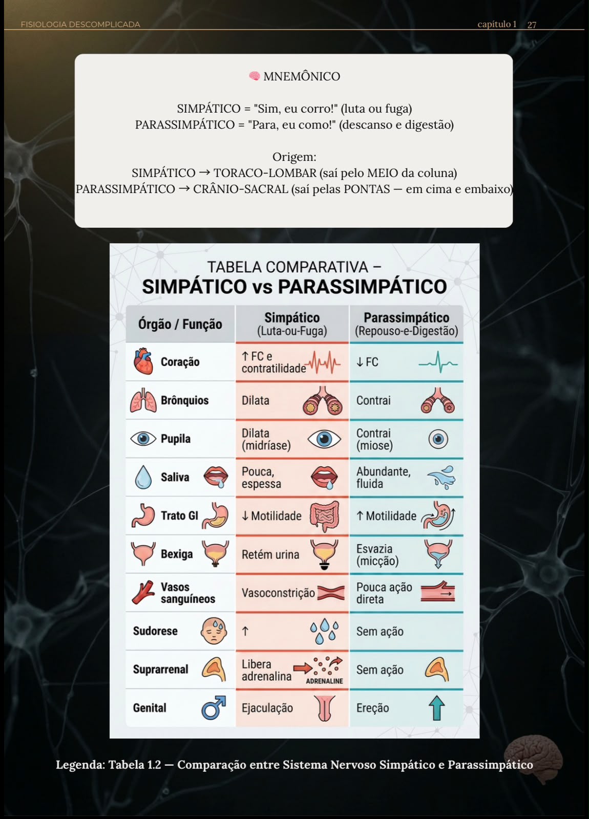 Tabela comparativa Simpático × Parassimpático